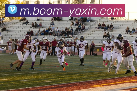 App Interface Preview