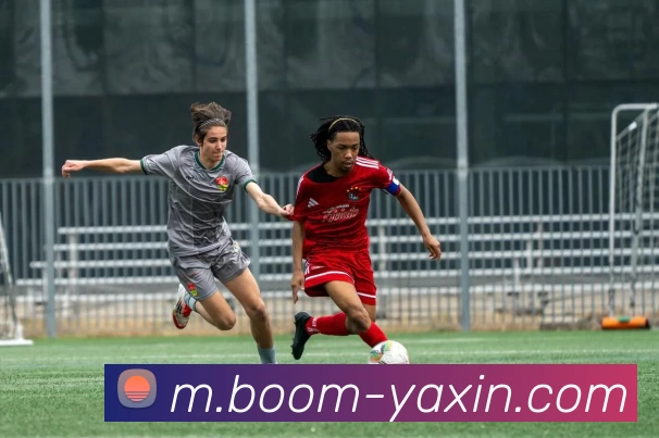 亚新体育APP 封面图